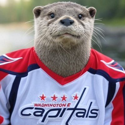 OtterNoDV's profile picture. Work on Capitol Hill. Avid golfer. Love Hockey and Gaming. Go Caps!
