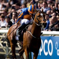 Gleneagles (@glen_colt) 's Twitter Profile Photo Gleneagles (@glen_colt) 's Twitter Profile Photo