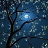 meryem mawdou 32020 (@ferdaousal35786) 's Twitter Profile Photo meryem mawdou 32020 (@ferdaousal35786) 's Twitter Profile Photo
