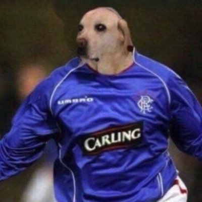 FUStJosephs's profile picture. Live, Laugh, Steven Klopp