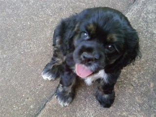 clwilburn's profile picture. 