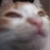 𝘴𝘸𝘢𝘨𝘴𝘪𝘭𝘷𝘦𝘳 (@suagsi) Twitter profile photo 𝘴𝘸𝘢𝘨𝘴𝘪𝘭𝘷𝘦𝘳 (@suagsi) Twitter profile photo