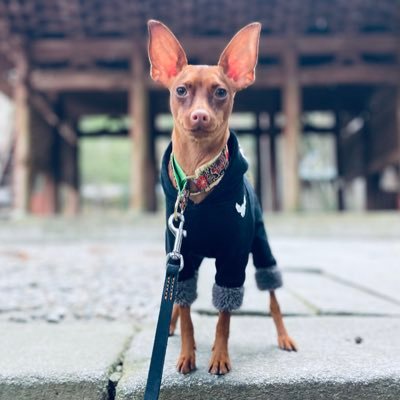 kani_0609's profile picture. 2度目の挑戦！2025年より「 みやざき塾生 」🌊 ITACHACHA Houseにも朝お邪魔しています▶️ 無言でフォローしてすみません😅