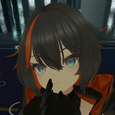 2025 1月、VRC開始 どらぜろ