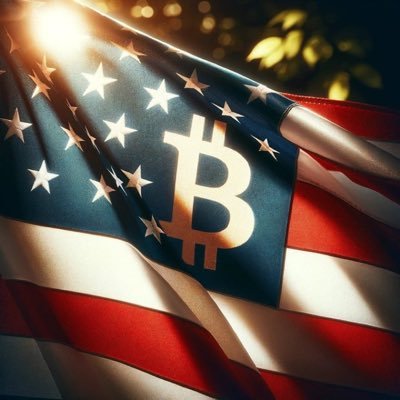 21HODL1776's profile picture. $BTC digital power (hardest money on earth/pristine collateral) | L2 $MSTR Strategy₿ ✴️ | L3 Strategy derivatives $STRF $STRC $STRK $STRD $MSTY | SoV TAM $500T