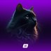 STEPNeur 🇨🇵 l FSL Champion (@stepneur) Twitter profile photo STEPNeur 🇨🇵 l FSL Champion (@stepneur) Twitter profile photo