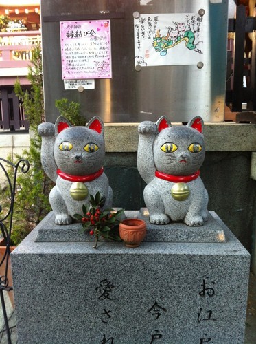 坂戸のエデナで頑張っている60代のオッサンです。家では猫飼ってます。エデナ 坂戸よさこい ソフトボール公式記録員 埼玉建築士会