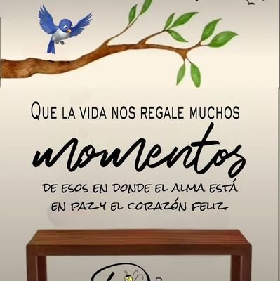 Creo En El Amor La Amistad La Solidaridad Como Los Inventos Más Hermosos del Ser Humano