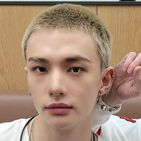 Hyunjin's Sil (saw SKZ) (@army7jiminista) 's Twitter Profile