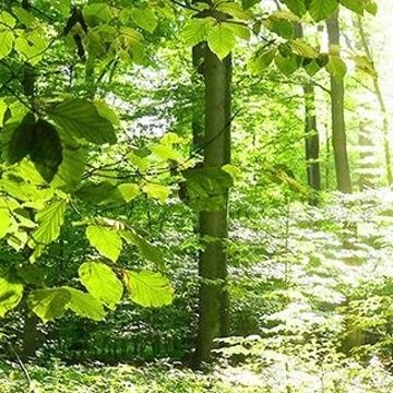 9UVEZf7RpstdiBC's profile picture. 