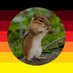Streifenhörnchen (@streifhoernchen) Twitter profile photo Streifenhörnchen (@streifhoernchen) Twitter profile photo