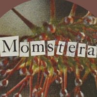 momstera 🌱 (@enteringgirlera) 's Twitter Profile Photo momstera 🌱 (@enteringgirlera) 's Twitter Profile Photo