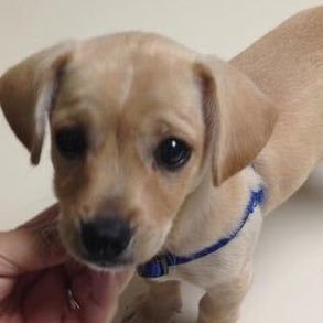 ksks_tomj's profile picture. 일찍 일어나는 새가 고추털을 본다