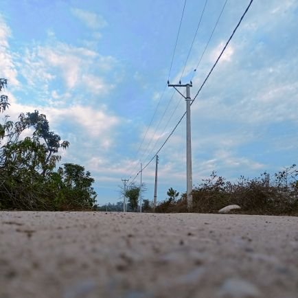 nishu62268's profile picture. 