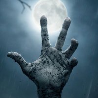Jack Of The Dead (@jackofthedead1) 's Twitter Profile