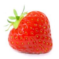 Massima Alimentação (@massimasa) 's Twitter Profile