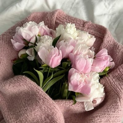 فأنا قَشٌ تقدحُهُ الأفكارُ، وتُشعلُهُ الأسئلة ..