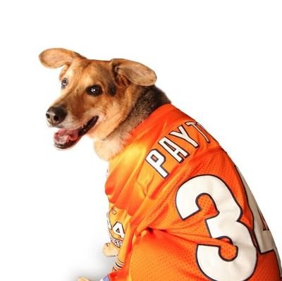 #CapettyFinale Die hard Bears fan with my dogs' names to prove it :) Realtor w/ a 501c3 charity.