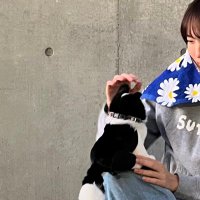 ナノ (@nano_amber) 's Twitter Profile