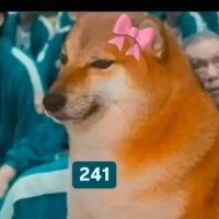 pastelitodepapa (@nabaskriste) 's Twitter Profile Photo