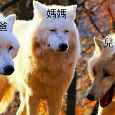 yaga_the1274's profile picture. 