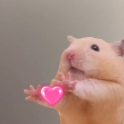 ౨ৎ︎さんのプロフィール画像
