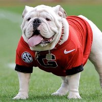 Commando (@commando_odds) 's Twitter Profile