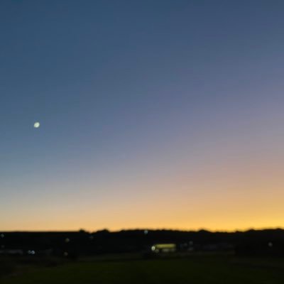 kimidori_aosm's profile picture. 踊る🕺🚨🔰のアカウント！青島くんとすみれさん 織田裕二さん！ちょこちょこお絵描きします　ポイピク⇨https://t.co/IlmiWMJuPc