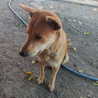 feelinggood (@feellinggood123) 's Twitter Profile