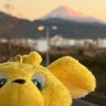 aoiaoiaoisora's profile picture. なおさん→なおみん🧡にゃんこ🐈ふじやま🗻清水エスパルス🧡エスパルスファミリー 🤜🧡🤛をこよなく愛す🏀元バスケ部バスケはやるもの⚽️ 高校サッカー:清水・藤枝勢応援💪📣 💕♫🍊🍃夏目友人帳🐱文字数の関係上敬称略お許しを🙏時々エセ関西弁🙏自己発信なしのRTや返信のみの人はフォローしません🌼