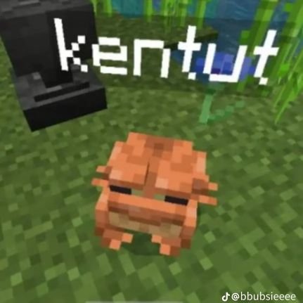 sunarintq's profile picture. nobyo