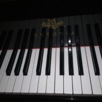 Paul (@practiceitagain) 's Twitter Profile