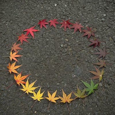 shui42512's profile picture. 