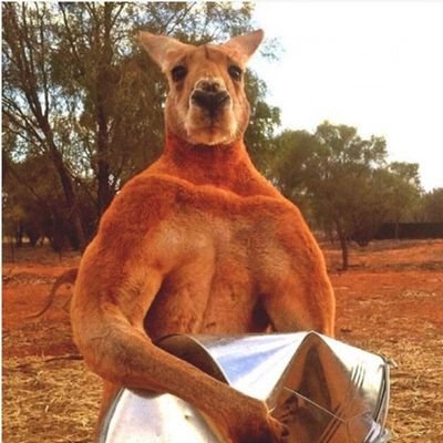 Pro freedom, sovereign nation democracies and Australia.
The Price of Liberty is Eternal Vigilance and the End of Woke.