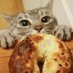 BrianLikesBagels ๐ญ๐ฒ (@bagels_brian) Twitter profile photo BrianLikesBagels ๐ญ๐ฒ (@bagels_brian) Twitter profile photo