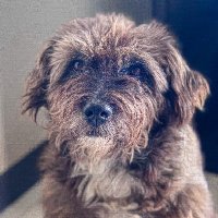 Andrea 🍃 (@andreabyq) 's Twitter Profile