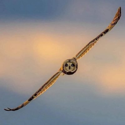 zhangyi50997078's profile picture. 