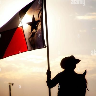 Conservative Wife, Mother, 1A, 2A Cowgirl. A child of God whose cup runneth over. NO DM's! NO CRYPTO! NO STOCKS! NO NUDES! NO DEGRADING CONTENT!