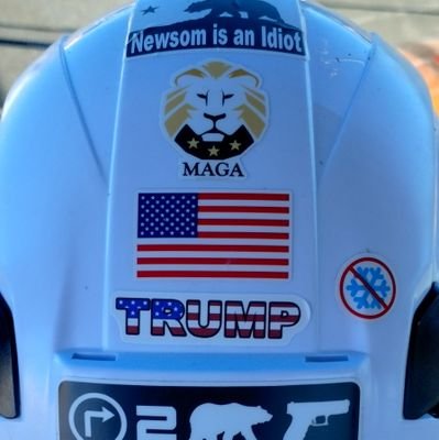 TheGnome11's profile picture. 🇺🇸
Member of no party. 
America First Conservative.
MAGA/
Blue collar proud.