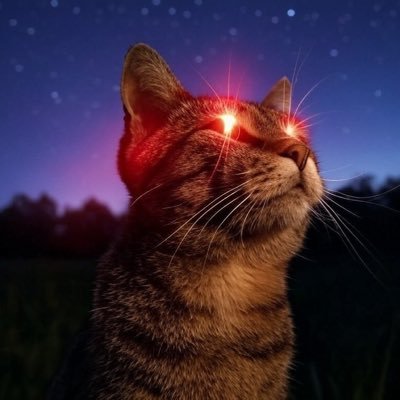 sweetamarillo's profile picture. Crypto and Coffee.