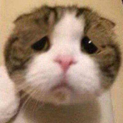 コイカツでシコったSSを投下してる猫です
乳のでかい初音ミクと乳のでかいギャルが大好きです
SDとキャラは基本お借りしています
作者様方には激シコな作品を作って頂いて感謝止まず…
お題箱
https://t.co/qHQkZ1bGME