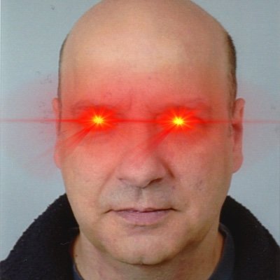 marmot08's profile picture. 