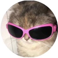 katiebug π (@kvtiebug) 's Twitter Profile
