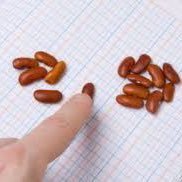 Beancounter turned bean forecaster. Currently lighting 250k beans on fire in an MBA. Systems thinker. RX. CBB. Aspiring Tiki Bar owner.