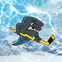 Quad City Storm (@quadcitystorm) 's Twitter Profile