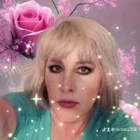 Susan Embert (@sembert8807) 's Twitter Profile