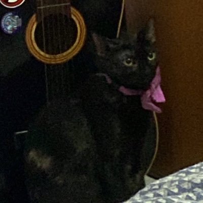 Vampirella658's profile picture. 