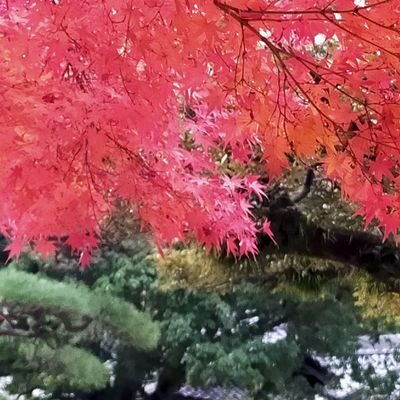 クラシック音楽を聴きながら 手を動かす時間が、何よりの癒し。
地域のボランティア活動に積極的に参加し、高齢者との交流を楽しんでいます。
家族との繋がりを大切にしており、特に今は 孫の成長が、生きがい!
「やさしさは、目に見えなくても、心に届く力がある」…
そんな信念を持って、今日も笑顔で過ごしています。