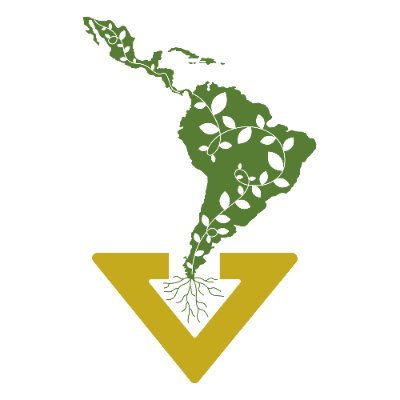 Somos personas, comunidades y organizaciones de Latinoamérica y el Caribe preocupadas por las diversas repercusiones del sector del transporte aéreo ✈️