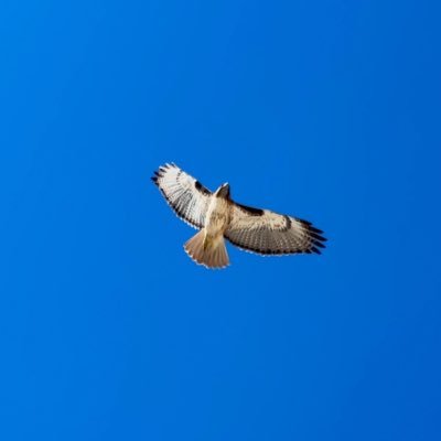 Emper_12's profile picture. 